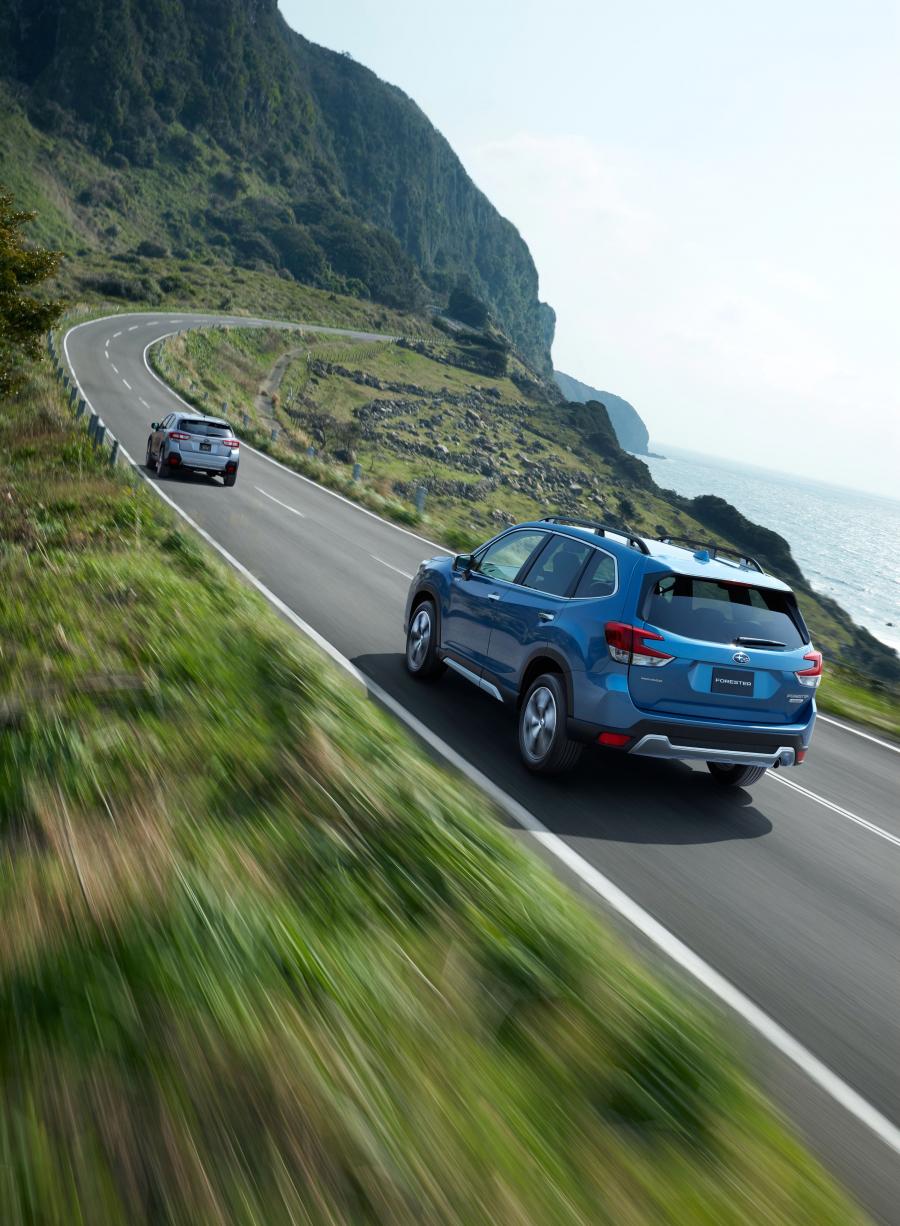  Subaru Forester Advance 2018 года  (JP) (фото 30 из 30)